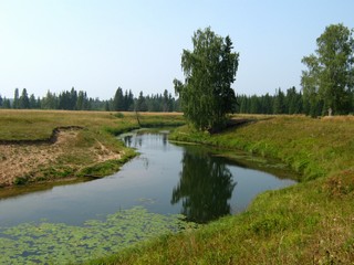 Река Волосница (Дмитрий Зонов)