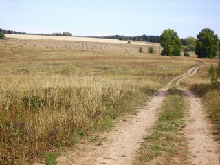 2010.08.18. Лесная дорога (_art)