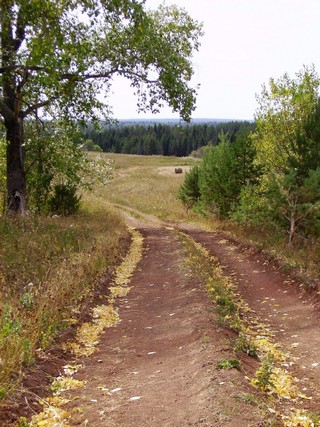 2010.08.18. Лесная дорога (_art)