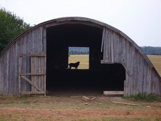 2010.08.18. Север. Пустой амбар. (_art)