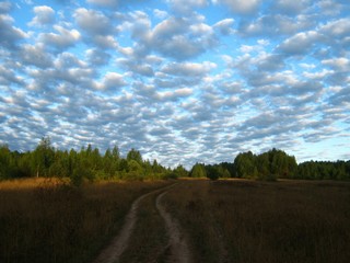 Луговая дорога к трассе Слободской - Нагорск (Дмитрий Зонов)
