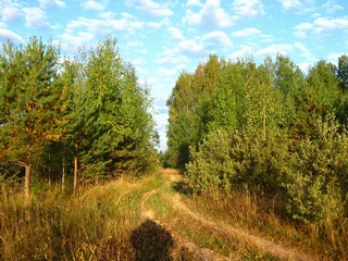 Выход к Нагорской трассе (Дмитрий Зонов)
