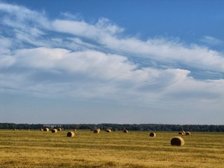 Август\\\\\\August (WERMUT)