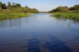 Старица в Сидоровке (Andreev Kostyan)