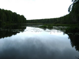 Озеро Слиньково, северная часть (Дмитрий Зонов)