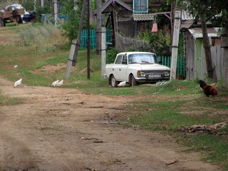 / на север (Дмитрий Шестаков)