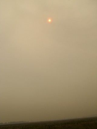 Красное солнце лесных пожаров.2010г\\\\\\Red sun of the wildfires (WERMUT)