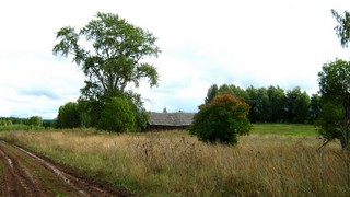 Последний дом в Хохряковщине (Дмитрий Зонов)