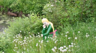 alenushka 2010 (DISCO COMMANDER)