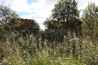 деревня Зимнячка. развалины дома Зверева Андрея Григорьевича. (evgenteam)