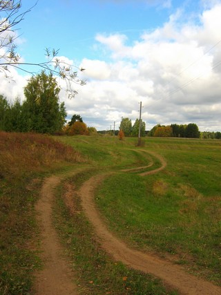 Луговая дорога (Дмитрий Зонов)