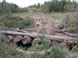 Мост через Молому. Дорога на Чудалово (Pavel Ermolaev)