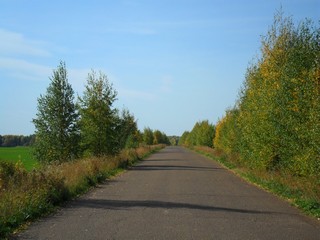 дорога у дер. Косинка направление в сторону д. Бельник (Александр Ложкин)
