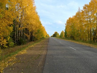 Автодорога Кирово-Чепецк - Зуевка (Сентябрь 2010) (Александр Ложкин)