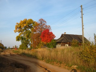 Сельский пейзаж, д.Саватёнки (Дмитрий Зонов)