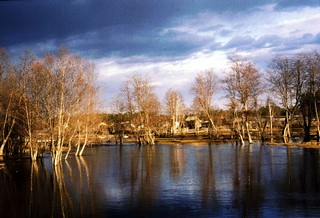 Весна (Мартюшев Павел)