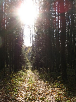 Осень (DenisKusnezow)