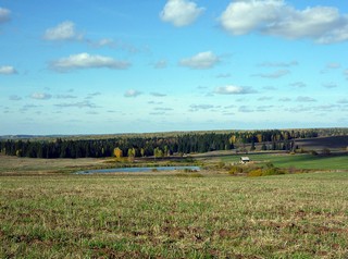 Сушинское (SerBor)
