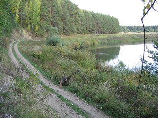 река Немда Советский район около Береснятского водопада (oleg_vasiliskin)