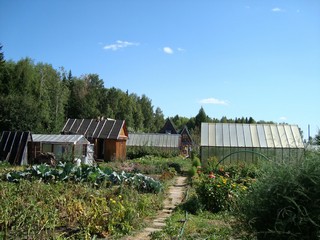 Огород (Randy Yananeni)