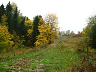 Дорога от Вятки к с.Красному (Дмитрий Зонов)