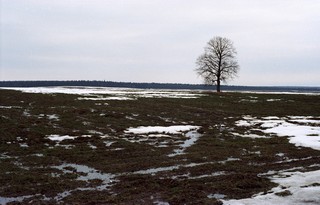 Весна (Мартюшев Павел)