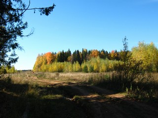 Дорога Ларинцы - Ложкари (Дмитрий Зонов)