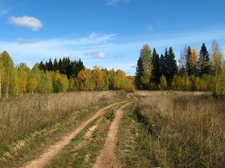 Полевая дорога на Ларинцы (Дмитрий Зонов)