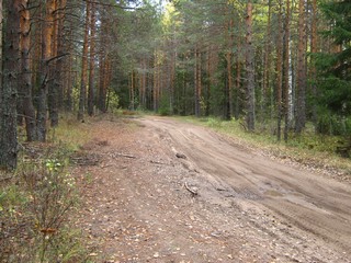 Дорога (Дмитрий Зонов)