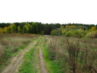 Дорога от д.Вотской в Бобинский бор (Дмитрий Зонов)