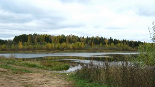 Пруд на р.Бобровке (Дмитрий Зонов)