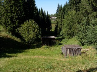 В логу (Роман Кобелев)