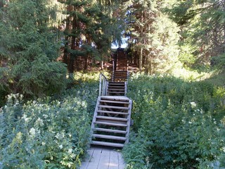 Покосившиеся ступеньки... (Роман Кобелев)