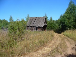 Полянцы. Последний уцелевший дом. (metallizer)