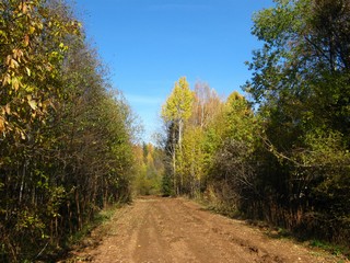 Дорога Бабинцы - Климинцы (Дмитрий Зонов)