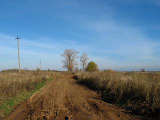 Старая Ношульская дорога у разв.Голышево (Дмитрий Зонов)