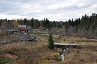 Северо-западная окраина посёлка ПУШМА. Вид на северо-запад. (fotoohotnikrw)