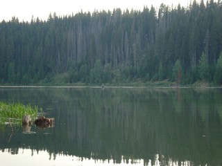 Пруд у с.Верхосунье (Александр7606)