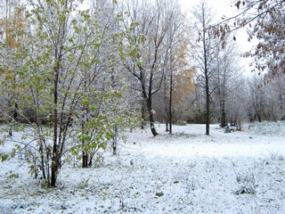 Первый снег, октябрь (Дмитрий Зонов)