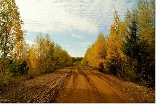 Осенняя дорога. (Rusinoff)