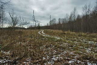 Первый снег (Мартюшев Павел)