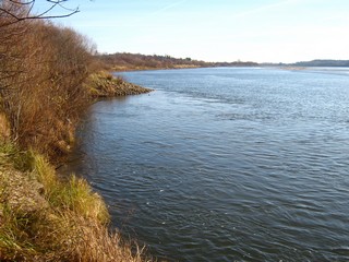 Вятка ниже Сидоровки (Дмитрий Зонов)