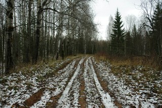 Первый снег (Мартюшев Павел)