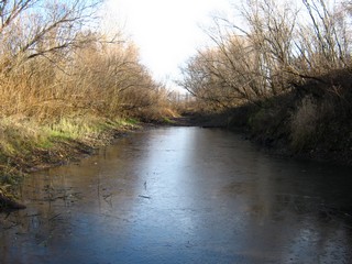 Протока Сидоров затон, первый ледок (Дмитрий Зонов)
