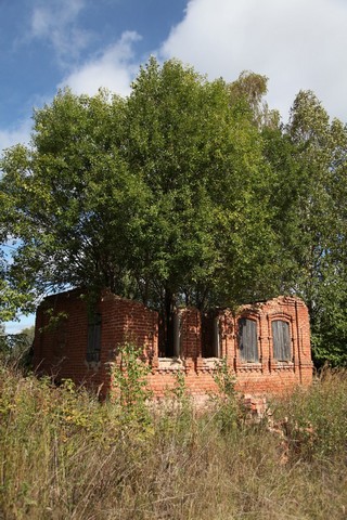 природа убирает следы наследия (evgenteam)