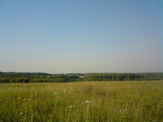 русское поле (Alekseius)