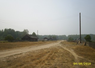 Кужинский Коноплянник (vsh-78)