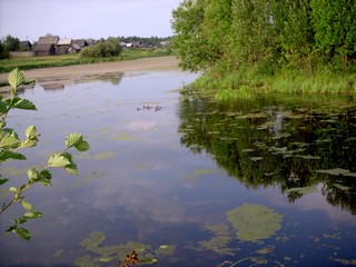 д Салья (Evg Ber)