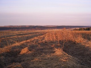 весной на рассвете (hunterfish71)