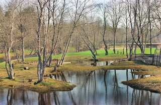 Весна (Мартюшев Павел)